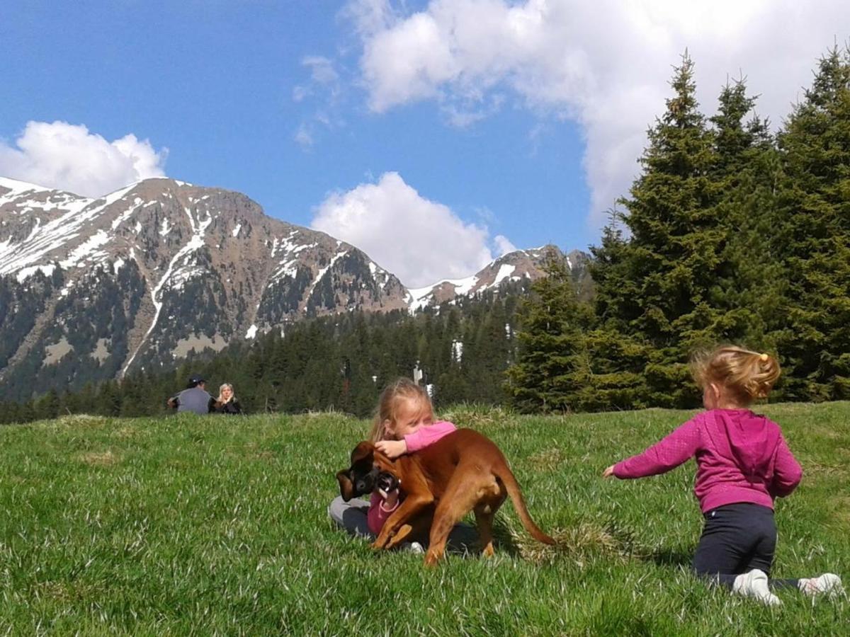 B&B Relais Dolomiti Bedollo ภายนอก รูปภาพ
