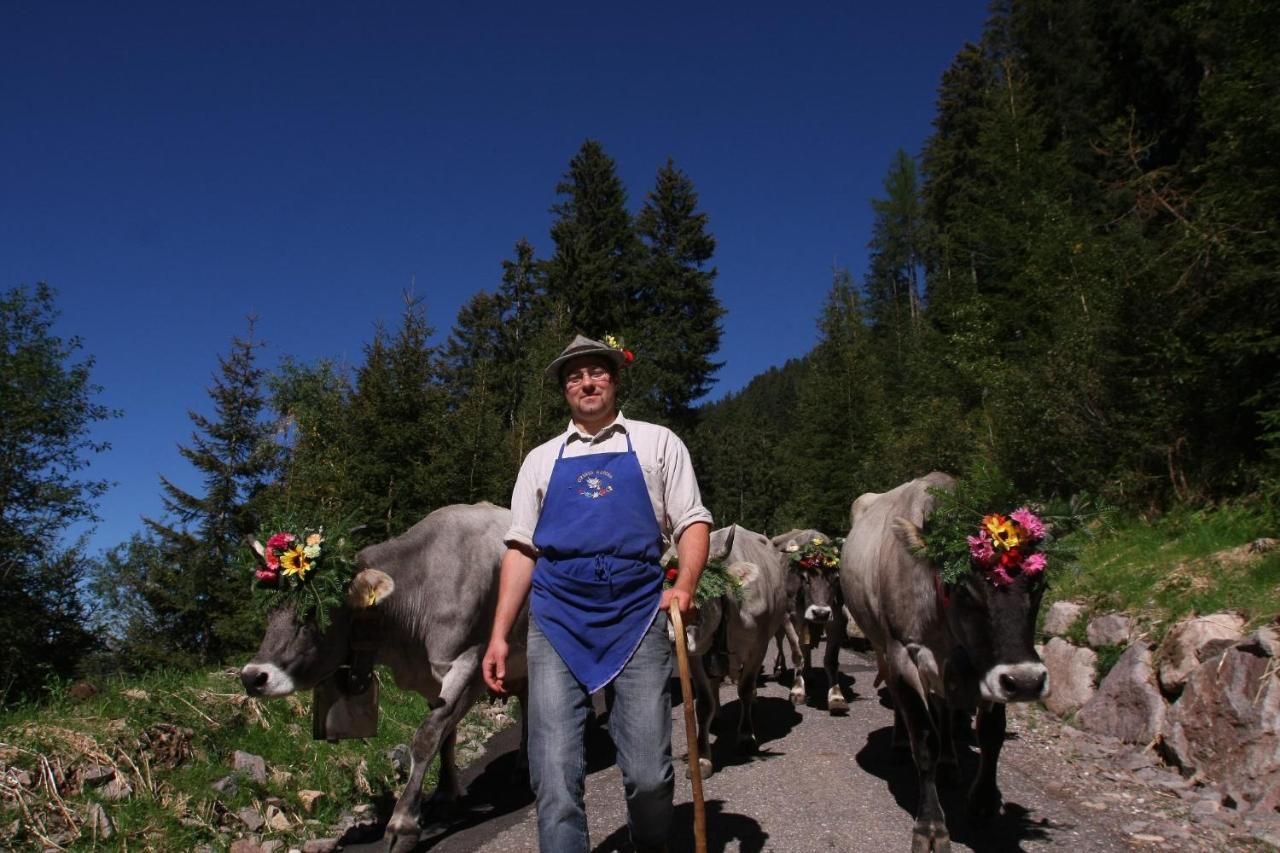 B&B Relais Dolomiti Bedollo ภายนอก รูปภาพ